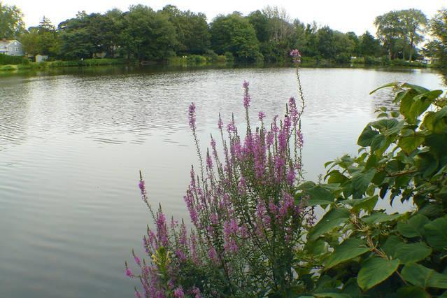 Hotel Walden On The Pond Spring Lake Exteriér fotografie