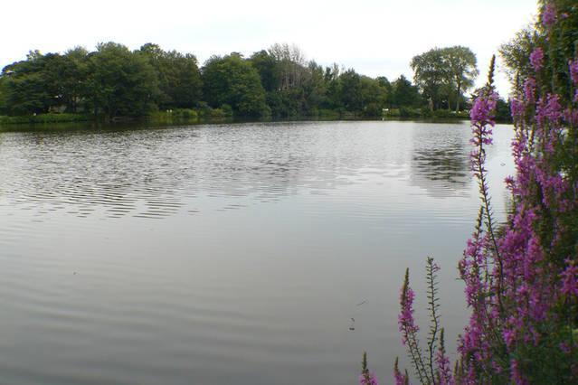 Hotel Walden On The Pond Spring Lake Exteriér fotografie